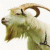 1610099144176.gif