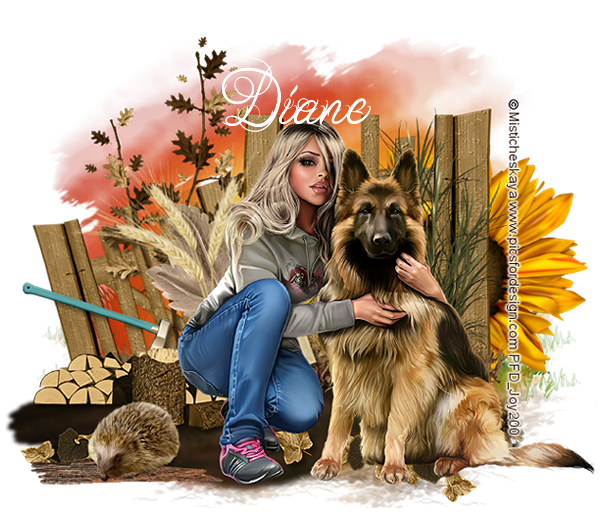 1offer3tag-diane[1].png