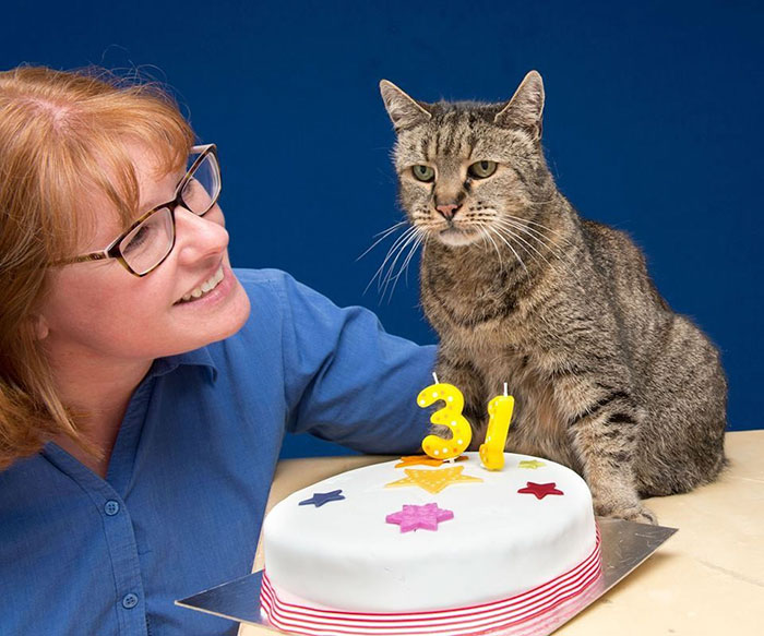 31-year-old-cat-nutmeg-10.jpg