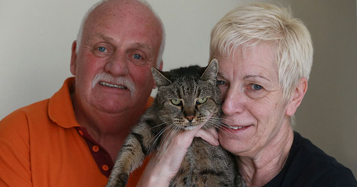 31-year-old-cat-nutmeg-3.jpg