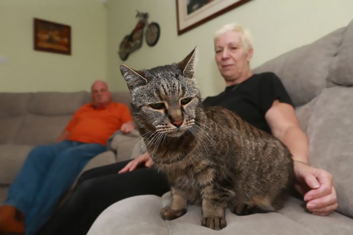 31-year-old-cat-nutmeg-5.jpg