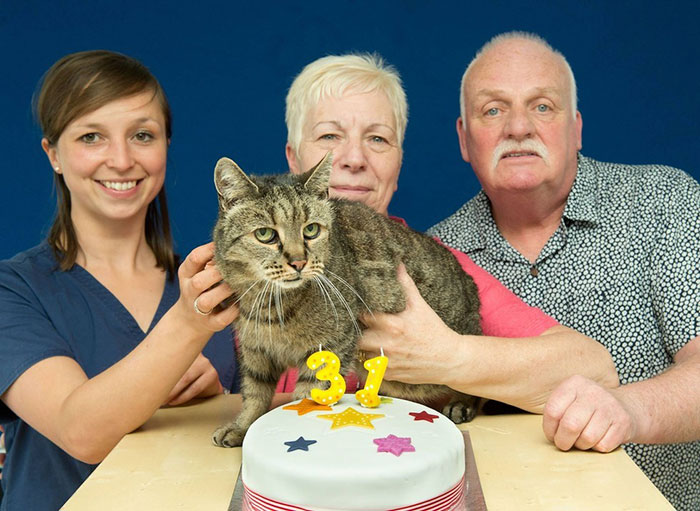 31-year-old-cat-nutmeg-8.jpg