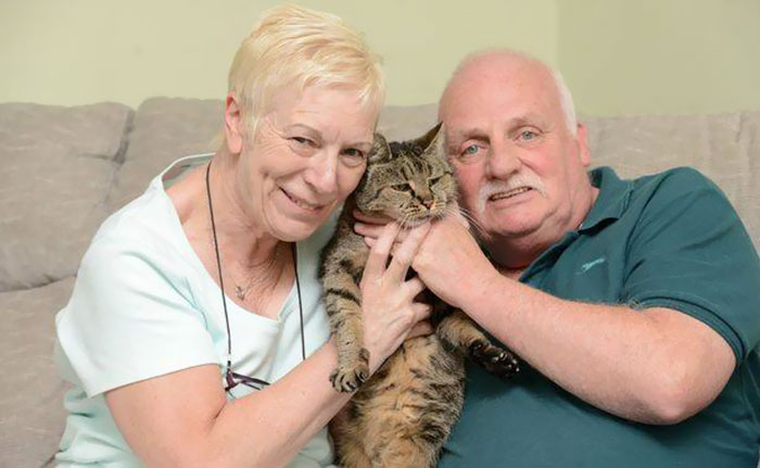 31-year-old-cat-nutmeg-9.jpg