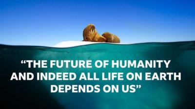 _110529034_blue-planet-quote.jpg