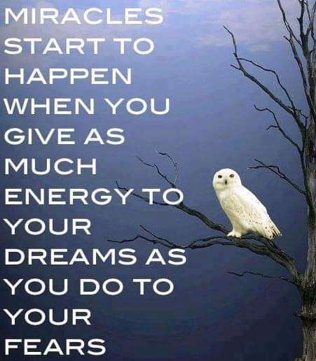 FB_IMG_16183974098525236.jpg