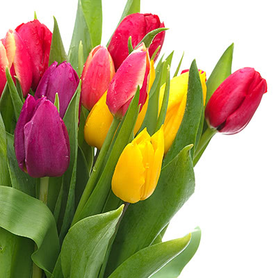 flower-8.jpg