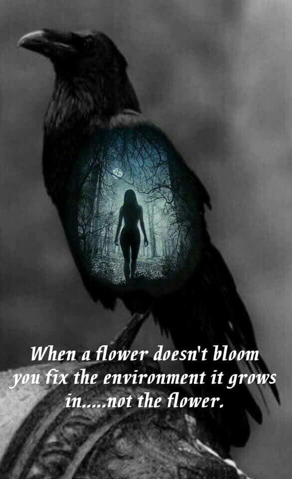 flowerfix.jpg