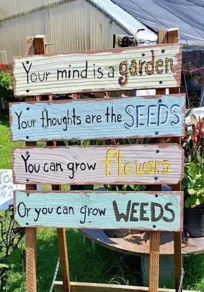 gardenseeds.jpg