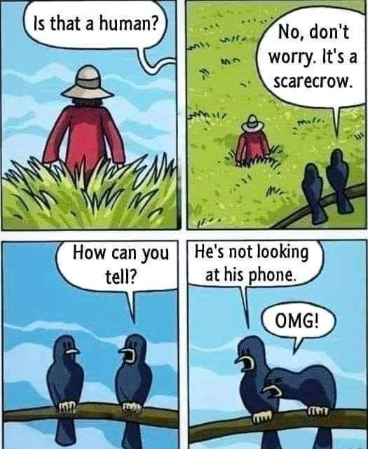hoomin.jpg