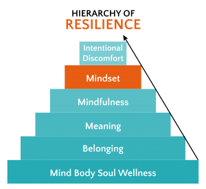 resilience.png