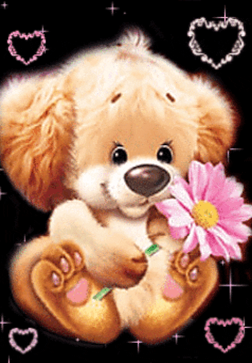 :flower7