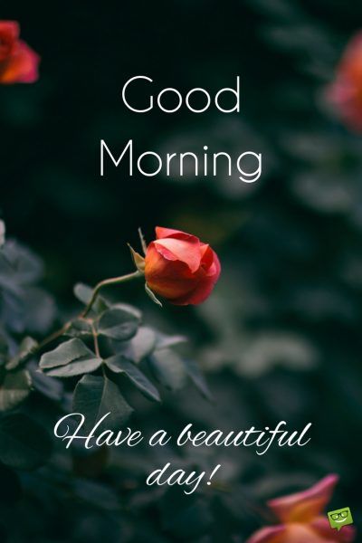 :morning3