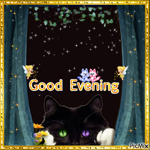 :evening1