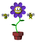 :flower9
