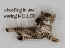 :checkingin8