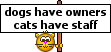 :catsstaff