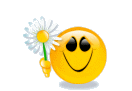 :flower6