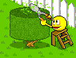 :gardening3
