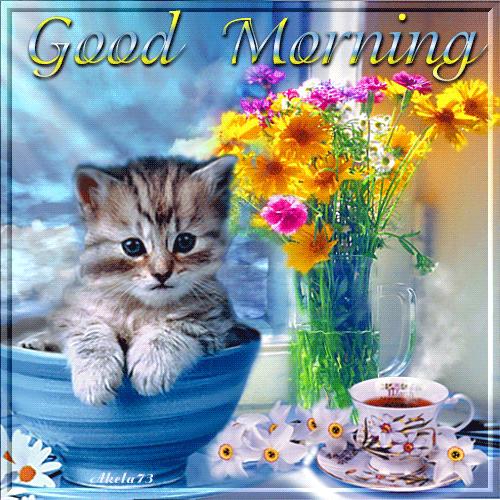 :morning1