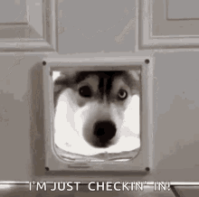 :chekingin7