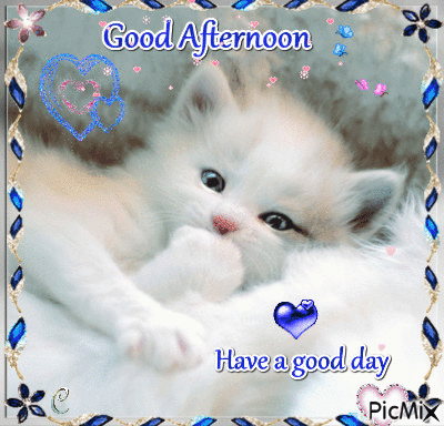 :afternoon1