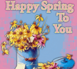 :spring4