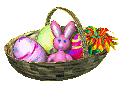 :basket