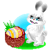:bunny