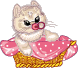 :cat