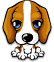 :dog