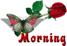 :morning5
