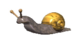 :snail