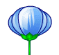 :springflower