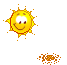 :sunandflower