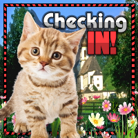 :checkingin3