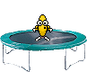 :trampoline