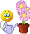 :waterflowers