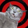 pSyKo kAt