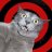 pSyKo kAt
